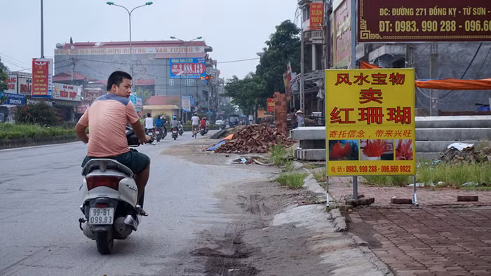 Khu 'phố Tàu' tái xuất sát 'nách' Thủ đô ảnh 2