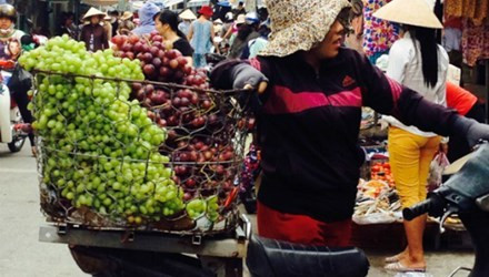 [Cảnh báo] Bốn loại quả Trung Quốc đội lốt hàng sạch lừa dân Việt ảnh 4