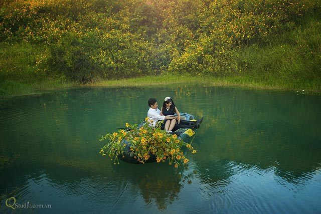 Tháng 10 mùa hoa dã quỳ tuyệt đẹp ở Đà Lạt ảnh 8 Tháng 10 mùa hoa dã quỳ tuyệt đẹp ở Đà Lạt ảnh 8