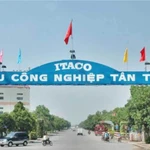 Cổ phiếu Tân Tạo: Từ 'ngôi sao' một thời đến bước đường cùng trên thị trường chứng khoán