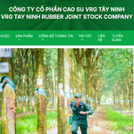 Lợi nhuận năm 2024 của Cao su Tây Ninh bật tăng ngoạn mục gần 230%