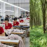 Một số doanh nghiệp dệt may, cao su bứt tốc nửa đầu 2025