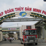 Cổ phiếu MPC tăng hơn 33% trong 4 phiên 