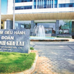 Bầu Đức và dàn lãnh đạo ồ ạt gom cổ phiếu HAG, chuyện gì đang xảy ra?
