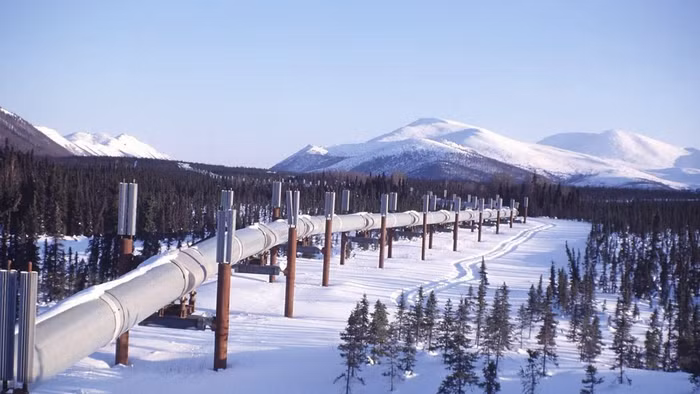 alaska-oil.jpg