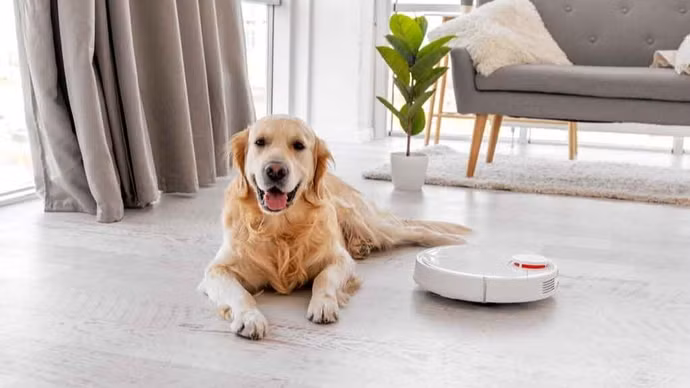 Những “chiến binh” robot hút bụi dành riêng cho nhà nuôi thú cưng