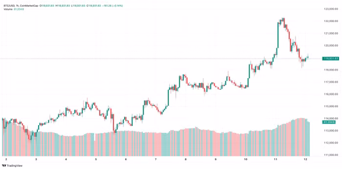 btc-2025-08-12-10-25-42.jpg