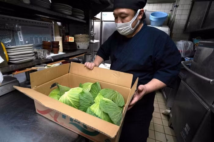 Người tiêu dùng Nhật Bản “sốc” vì giá bắp cải tăng gấp 3 lần