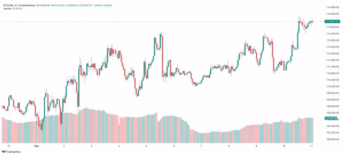 btc-2025-09-11-09-48-41.jpg