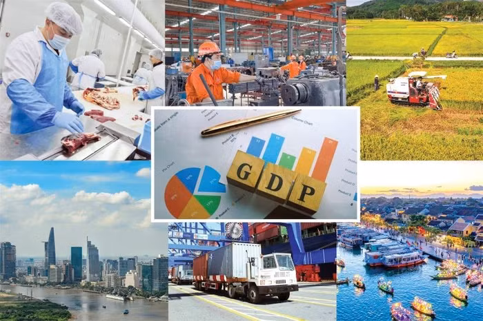 IMF: Kinh tế Việt Nam vững vàng nhưng dễ tổn thương trước biến động thương mại toàn cầu 