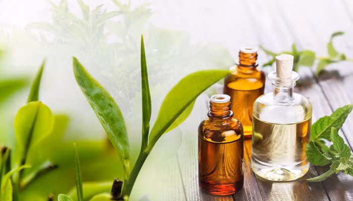 top-uses-and-benefits-of-tea-tree-oil.jpg