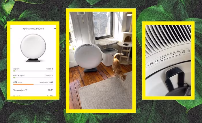 Cẩm nang chọn mua máy lọc không khí cho gia đình