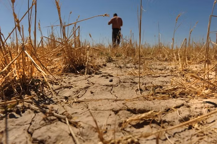 Kinh tế toàn cầu có thể chịu thiệt hại hàng nghìn tỷ USD vì El Niño