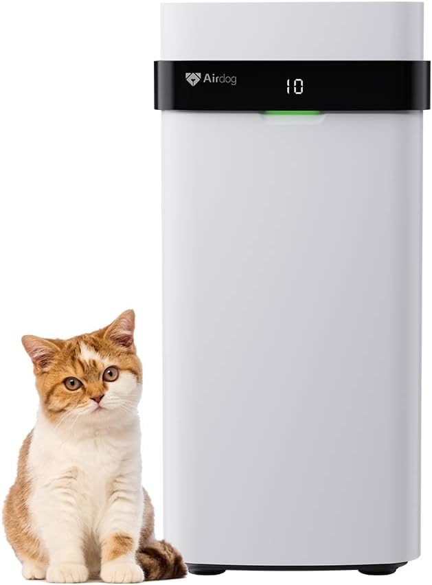 419tsaycuul-ac-sl1080.jpg