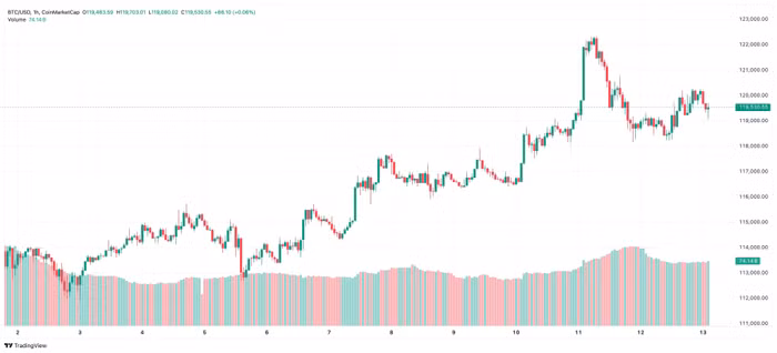 btc-2025-08-13-10-14-42.jpg
