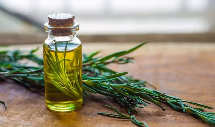 rosemary-oil-for-skincare-usage-1024x1024.jpg