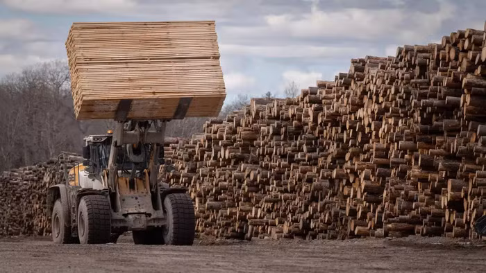 Mỹ mở cuộc điều tra gỗ nhập khẩu