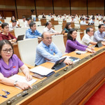Các đại biểu biểu quyết thông qua luật sáng 14/6