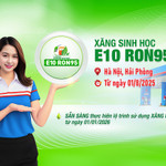 Xăng sinh học E10 - Giải pháp nhiên liệu xanh hay thách thức cho thị trường Việt Nam?