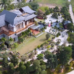 Cận cảnh biệt thự khủng như bảo tàng của sếp FPT: Lạc vào "rừng" cổ thụ trăm tuổi và đá quý vô giá