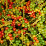 Giá nông sản hôm nay (2/12): Giá cà phê và hồ tiêu đồng loạt giảm mạnh