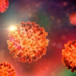Biến thể XEC có tốc độ lây lan nhanh hơn nhiều so với các biến thể phụ Omicron khác. Ảnh: Shutterstock