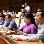 100% đại biểu Quốc hội có mặt tán thành thông qua Luật sửa đổi, bổ sung một số điều của Luật Quốc tịch Việt Nam