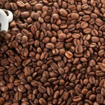 Giá nông sản hôm nay (15/12): Giá cà phê trong nước tiếp tục giảm sâu