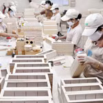 Ngành gỗ Việt Nam trước ngã rẽ mới