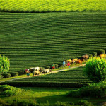 Gợi ý những địa điểm du lịch không thể bỏ lỡ vào tháng 10