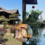 Nghệ sĩ Hoàng Mập là gương mặt quen thuộc của phim truyền hình Việt. Thời gian gần đây, anh gây chú ý khi hé lộ biệt phủ rộng khoảng 10.000m2 tại Lâm Đồng