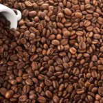 Giá cà phê tuần qua tăng mạnh từ 4.300 - 4.500 đồng/kg