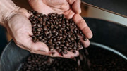 Hợp chất đặc biệt trong cà phê có thể mang lại lợi ích cho người mắc bệnh tiểu đường