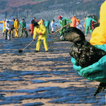 Nam Mỹ sẽ trở thành thủ phủ dầu mỏ của thế giới, và những thứ phải đánh đổi