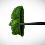 Anh cấm quảng cáo của Nike, Lacoste và Superdry vì cố tình "tẩy xanh"