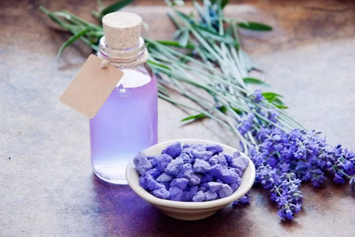 Những công dụng tuyệt vời của tinh dầu oải hương