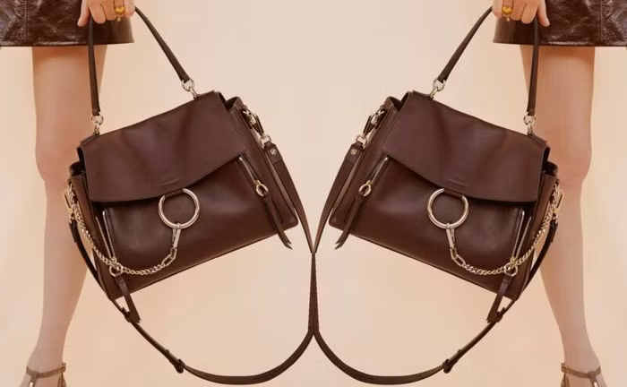 Bag Profile: Chiếc túi Faye Handle Bag của thương hiệu Chloe