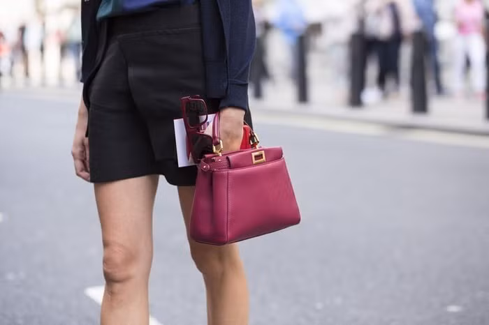 Bag Profile: Chiếc túi Peekaboo của thương hiệu Fendi ảnh 1