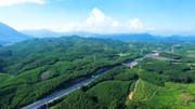 Trình Quốc hội xem xét, quyết định chủ trương đầu tư dự án đường bộ cao tốc Quy Nhơn - Pleiku