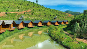 Farmstay: Phân khúc đầy tiềm năng của thị trường bất động sản