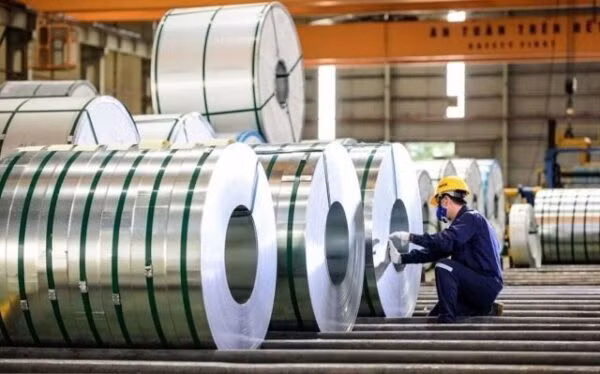 Công ty Cổ phần Tập đoàn HSV Việt Nam (mã chứng khoán: HSV)