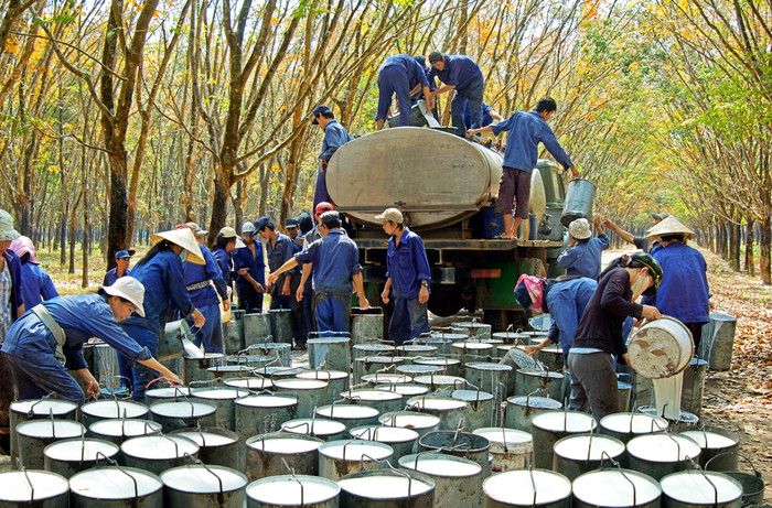 Công ty Cổ phần Cao su Công nghiệp (mã chứng khoán: IRC)