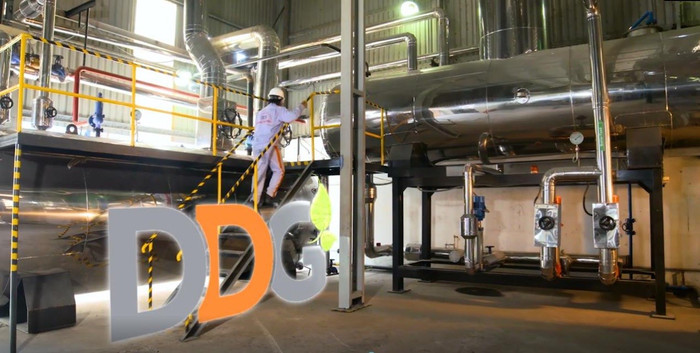 Cổ phiếu DDG của Công ty Cổ phần Đầu tư Công nghiệp Xuất nhập khẩu Đông Dương đang duy trì cảnh báo, kiểm soát từ 13/5/2025 img20181217151020689.jpg