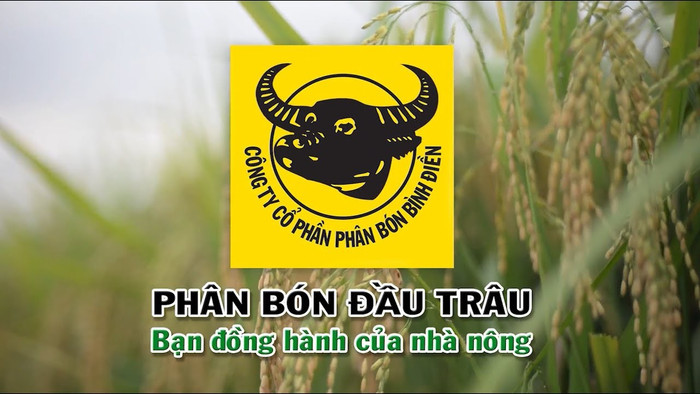 Phân bón Bình Điền (BFC): Lợi nhuận năm 2024 bùng nổ, vượt mục tiêu hơn 170%