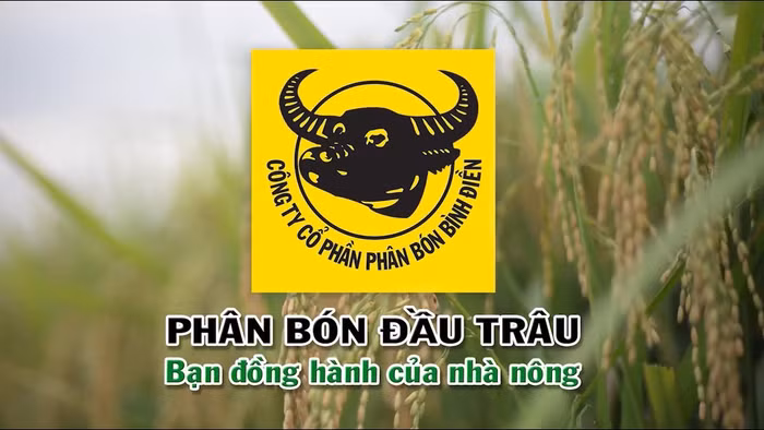 Phân bón Bình Điền (BFC): Lợi nhuận năm 2024 bùng nổ, vượt mục tiêu hơn 170%