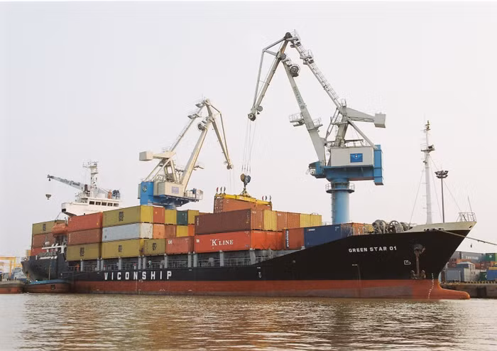 Sai sót khi nhập liệu, lợi nhuận Viconship "bốc hơi" gần 130 tỷ đồng