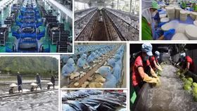 Tổng Bí thư Tô Lâm và tư duy lý luận mới về kinh tế tư nhân