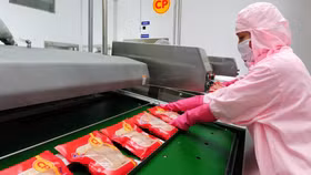 Không khởi tố hình sự đối với tố giác heo bệnh ở Công ty C.P