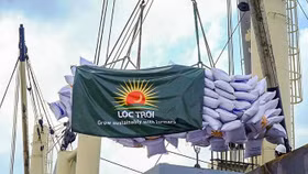 Lộc Trời: Từ tập đoàn dẫn đầu ngành nông nghiệp đến vòng xoáy khủng hoảng tài chính và nhân sự