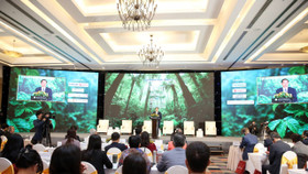 Lý do 97% doanh nghiệp Việt Nam vẫn gặp khó trong chuyển đổi số, chuyển đổi xanh